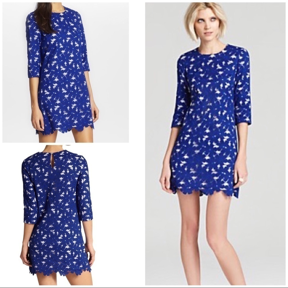 NWT Cynthia Steffe Blue Vida Lace Shift Dres 4​​​​​​